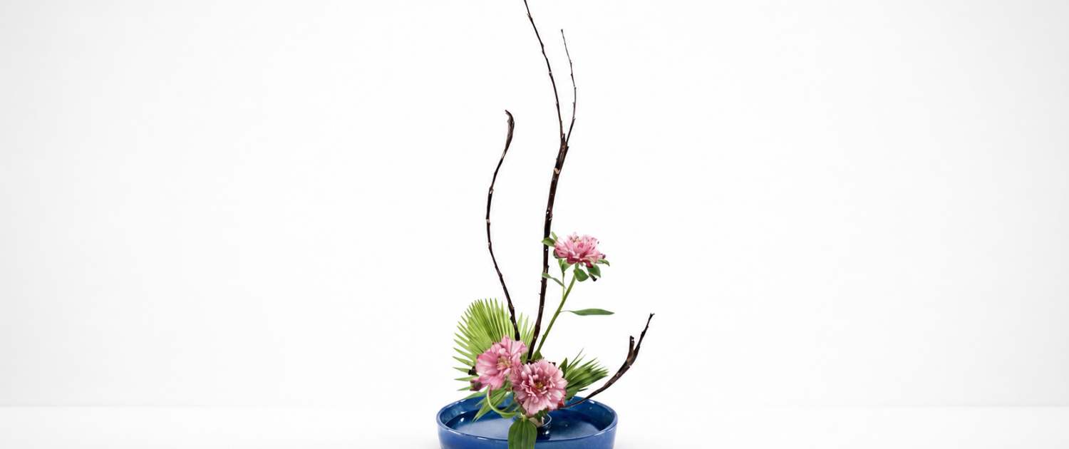 tateru_alstroemeria_orizz
